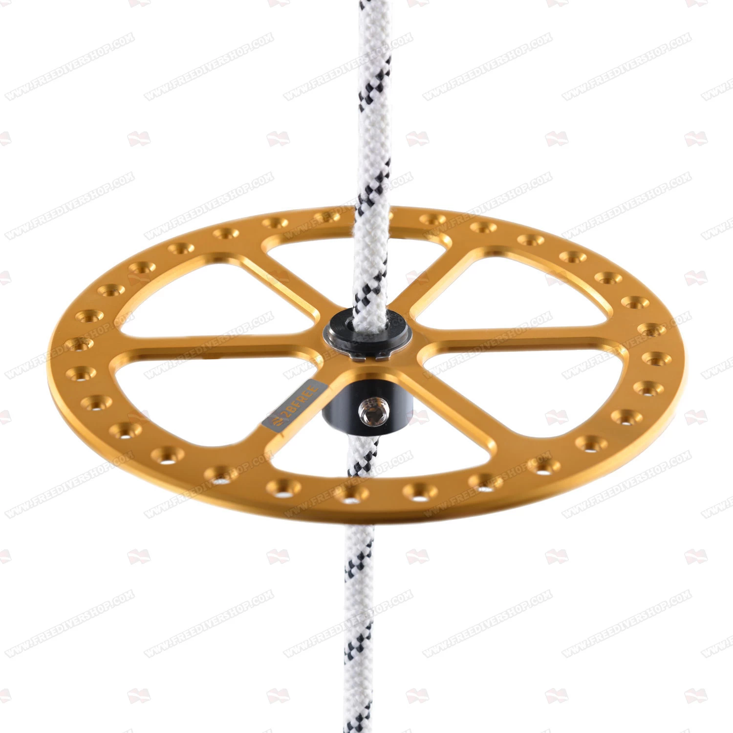 2BFREE Gold Bottom Plate 3 2BFREE Gold Bottom Plate