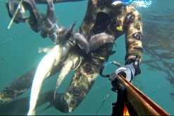 Elios Classic Brown Hydro Camo - Tailor Made Wetsuit -Restube Store alcatch 3