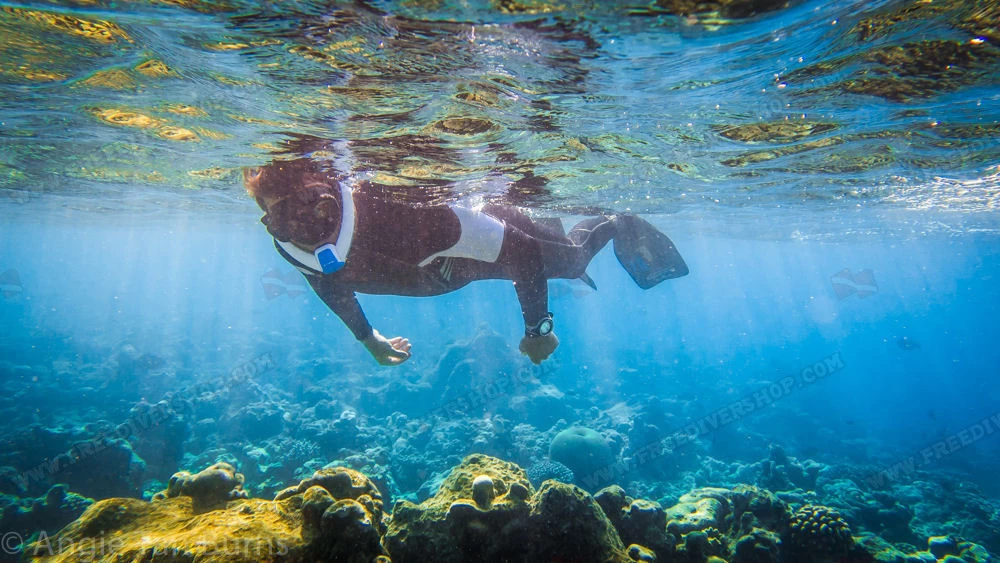 Ameo Powerbreather - Wave Edition 18 Ameo Powerbreather - Wave Edition - Image 16