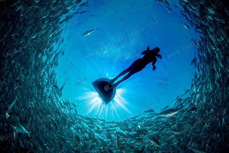 Cetma Composites Taras Monofin 17 Cetma Composites Taras Monofin - Image 15