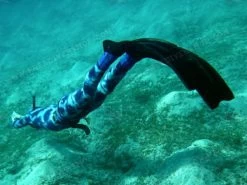 Elios Corifena Camouflage - Tailor Made Wetsuit -Restube Store elioscorifena4 1