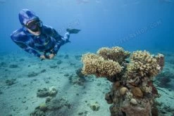 Elios Corifena Camouflage Wetsuit 16 Elios Corifena Camouflage Wetsuit -Restube Store elioscorifena6 1 1