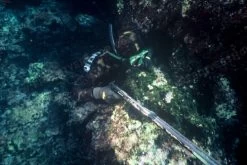 Elios Mimetic Camouflage - Tailor Made Wetsuit 12 Elios Mimetic Camouflage - Tailor Made Wetsuit -Restube Store file 10