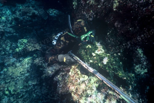 Elios Mimetic Camouflage - Tailor Made Wetsuit 6 Elios Mimetic Camouflage - Tailor Made Wetsuit - Image 4