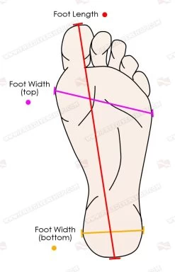 GoldFin Freediving Hyper Monofin -Restube Store foot vector
