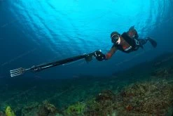 Divein Combo Red Camouflage - Tailor Made Wetsuit 9 Divein Combo Red Camouflage - Tailor Made Wetsuit -Restube Store frk 94581 1