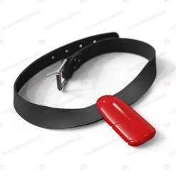 Lobster Freediving Weight Belt Set 24 Lobster Freediving Weight Belt Set -Restube Store lobster belt set red1 1